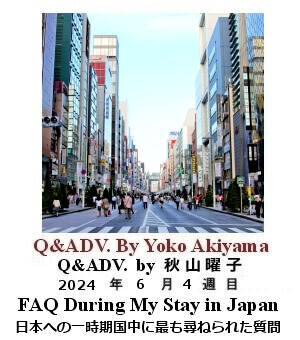 Q & Adv, Yoko Akiyama, 秋山曜子, 