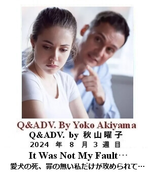 Q & Adv, Yoko Akiyama, 秋山曜子, 