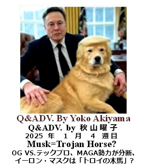 Q & Adv, Yoko Akiyama, 秋山曜子, 