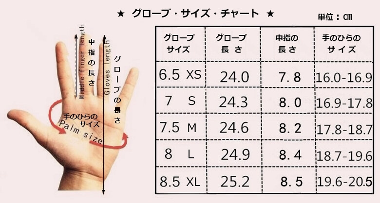 サイズ