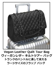  LgcA[EobO