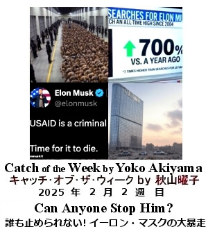 キャッチ・オブ・ザ・ウィーク, ニューヨーク, NY時事トレンド情報, Yoko Akiyama, 秋山曜子, 