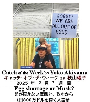 キャッチ・オブ・ザ・ウィーク, ニューヨーク, NY時事トレンド情報, Yoko Akiyama, 秋山曜子, 