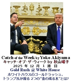 キャッチ・オブ・ザ・ウィーク Yoko Akiyama