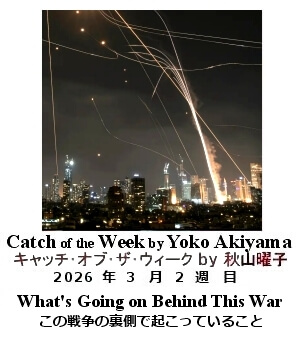 キャッチ・オブ・ザ・ウィーク Yoko Akiyama