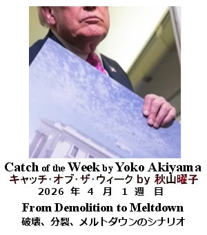 キャッチ・オブ・ザ・ウィーク Yoko Akiyama