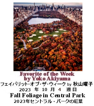 フェイバリット・オブ・ザ・ウィーク, ニューヨーク, NY時事トレンド情報, Yoko Akiyama, 秋山曜子